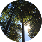 benefits-environment-icon